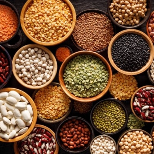 Pulses and legumes
